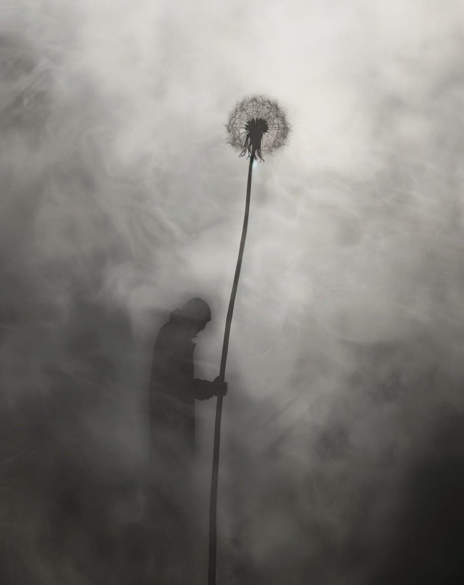A lone figure beside a tall dandelion in soft mist